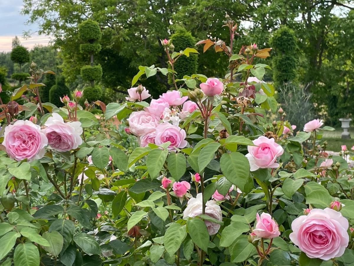 Les Jardins Haute Couture Huismes Ngoại thất bức ảnh